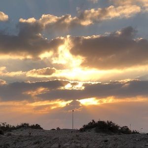 Meet your Posher, Shanyn